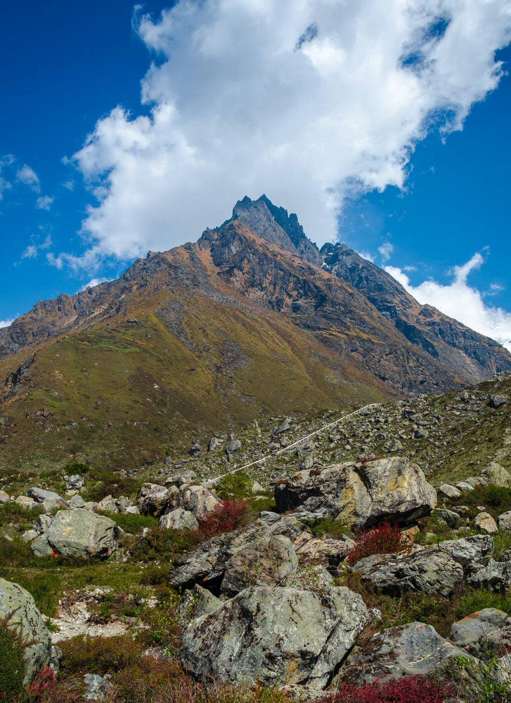 Langtang Region